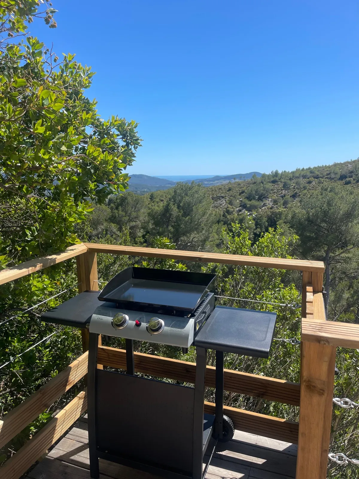Plancha sur la terrasse, au-dessus de la forêt