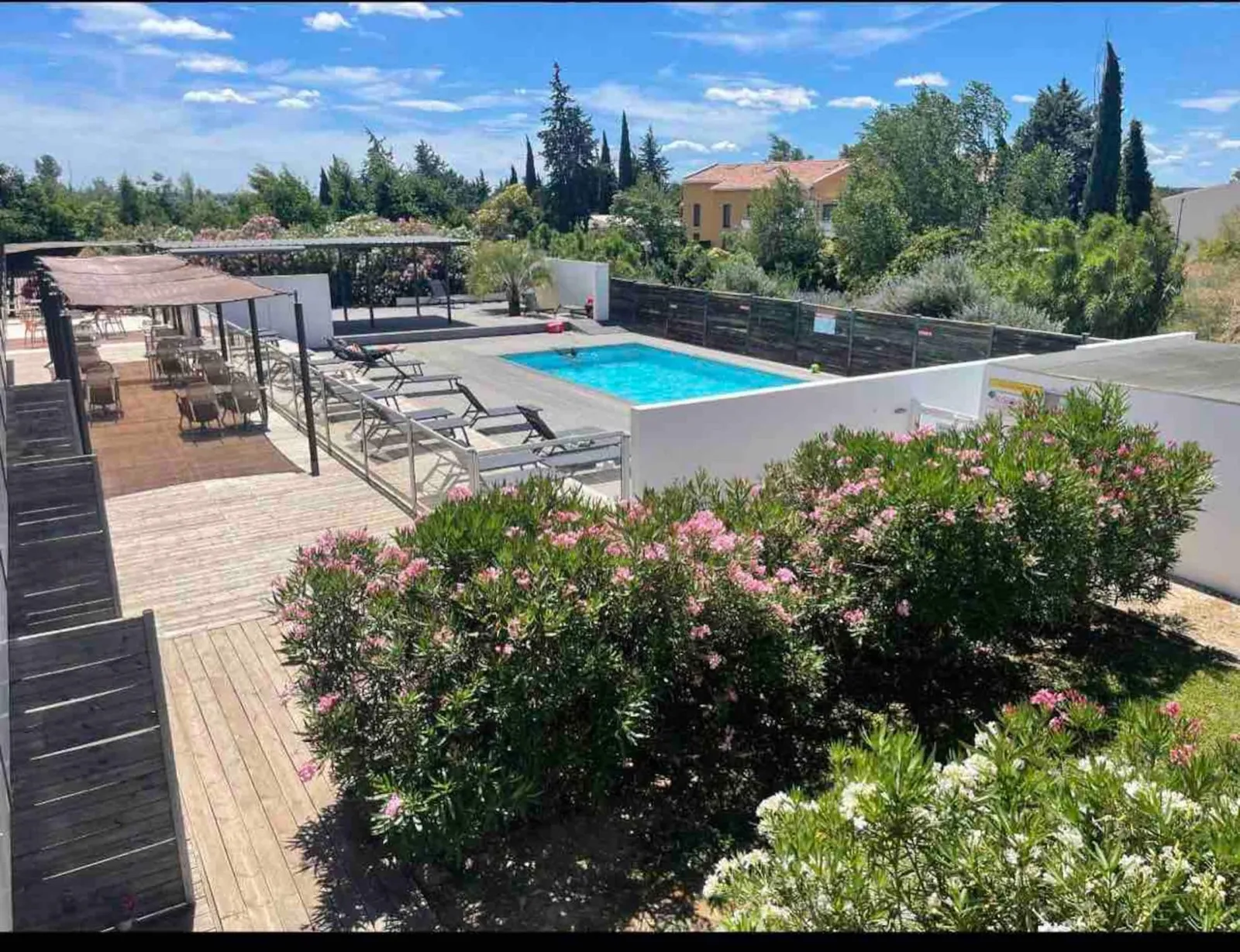 Piscine de la résidence entourée de lauriers-roses