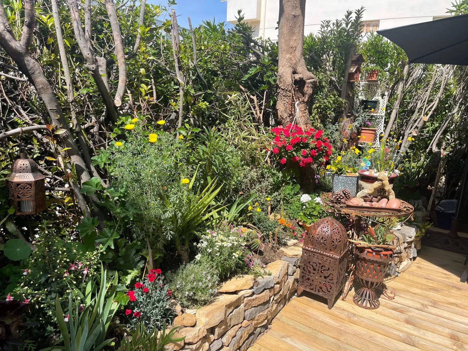 Jardin fleuri